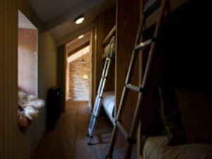 Cwtch - bunk room for 4