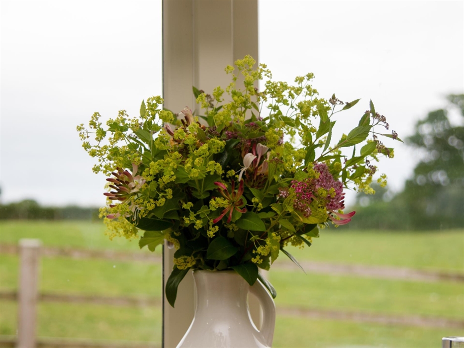 View out of Fieldsview kitchen window