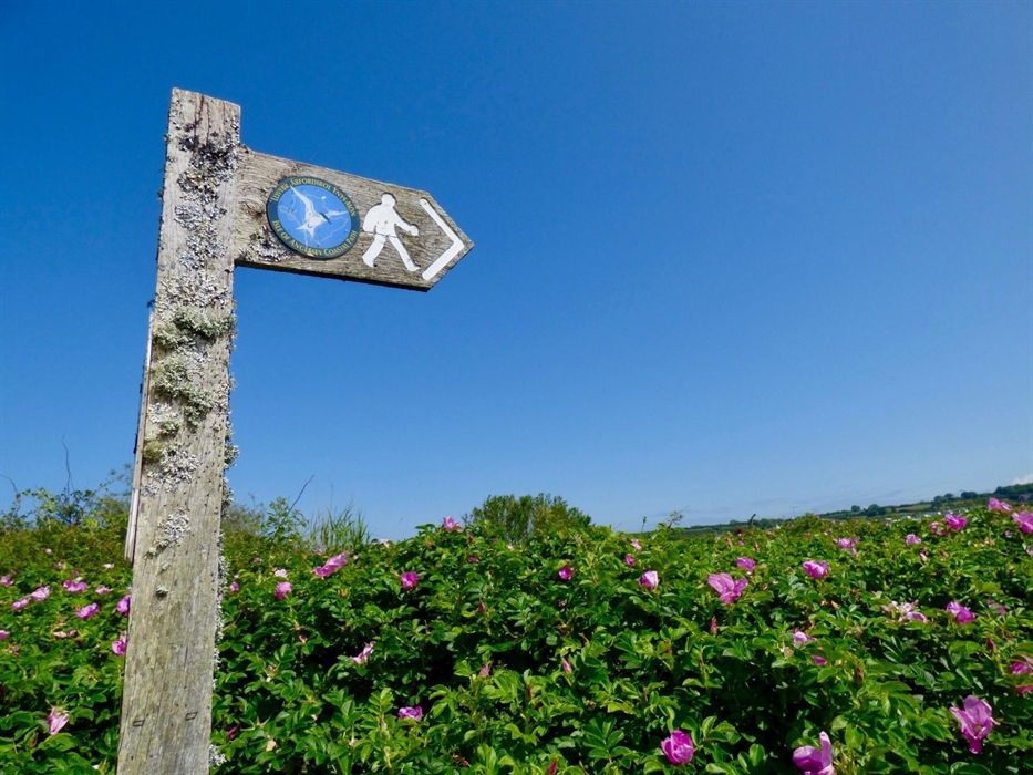 Tyddyn Isaf is ideally situated for walkers of the Welsh Coast Path and offers walkers discounted tent pitches
