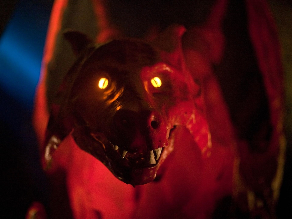 At King Arthur's Labyrinth in Mid Wales we tell ancient Welsh legends including stories of dragons. As you sail out of the Labyrinth, brave the waters