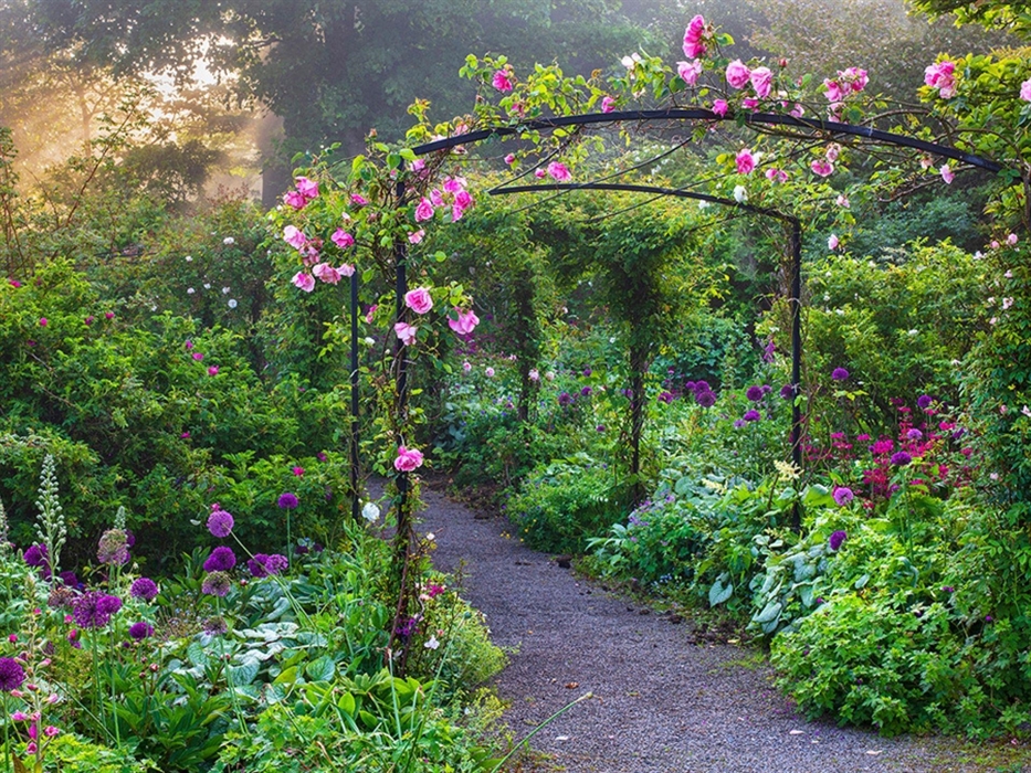 Rose Garden