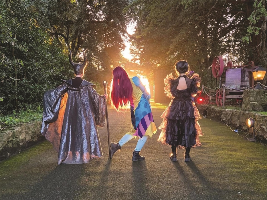 Celebrate Halloween with us as our entire park in transformed into all things Halloween! Plus costumed characters and character shows!