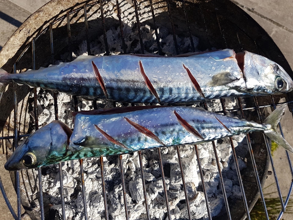 Beach BBQ after and Epic Fishing Trip