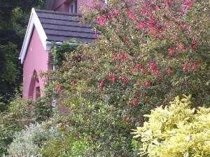 Blaen-nant-y-Groes Farm Cottages