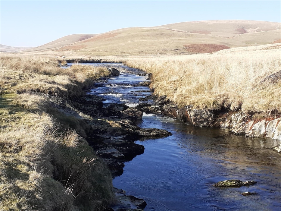 The lovely Afon Elan .....  A fun wild stream that fishes well in May / June time ... if we're lucky enough to catch the cochybonddu hatch,  fish go c