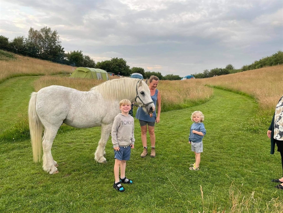 Here is our gorgeous George paying a visit to our campers!