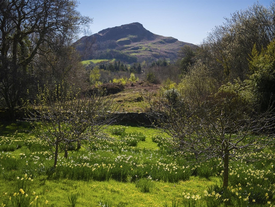 The View from the Patio