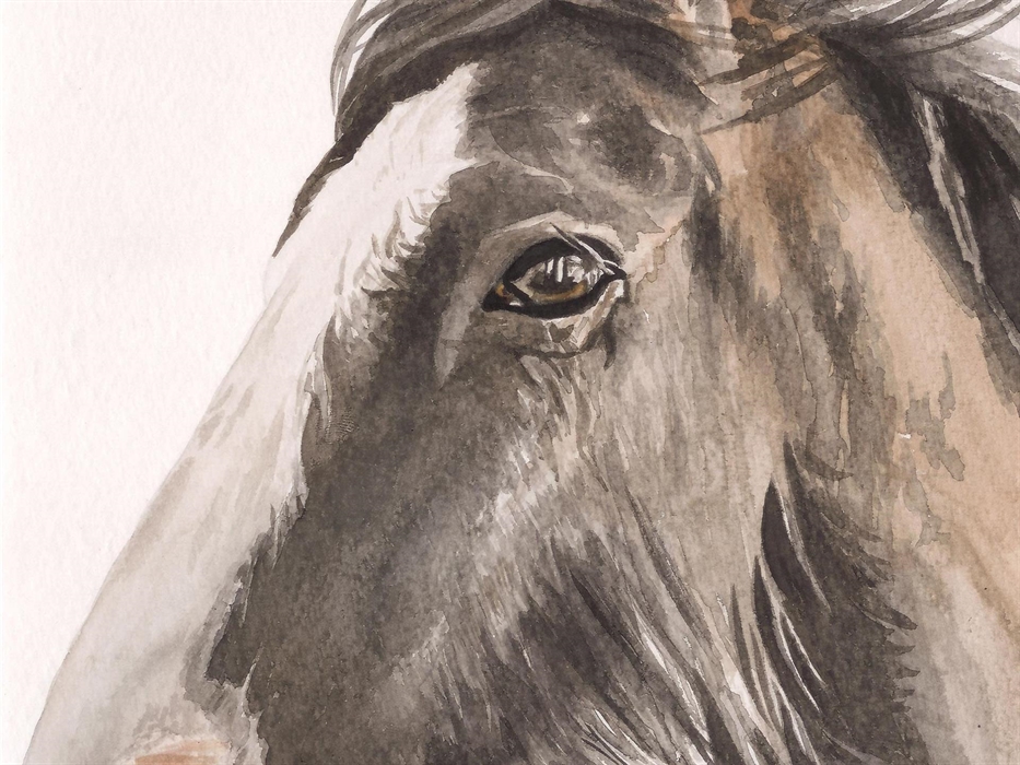 Emily is the talented artist at Bowowhouse and creates pet portrait watercolours, handmade wool dog coats and hand painted dog jackets. A selection of