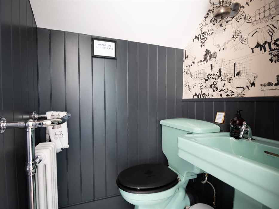 The Sheep toilet - 'What Ewe looking at?'