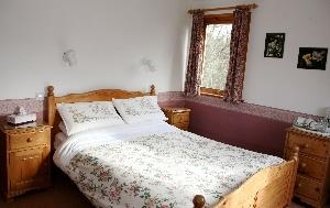 Family Room (En-suite with separate bunk room)