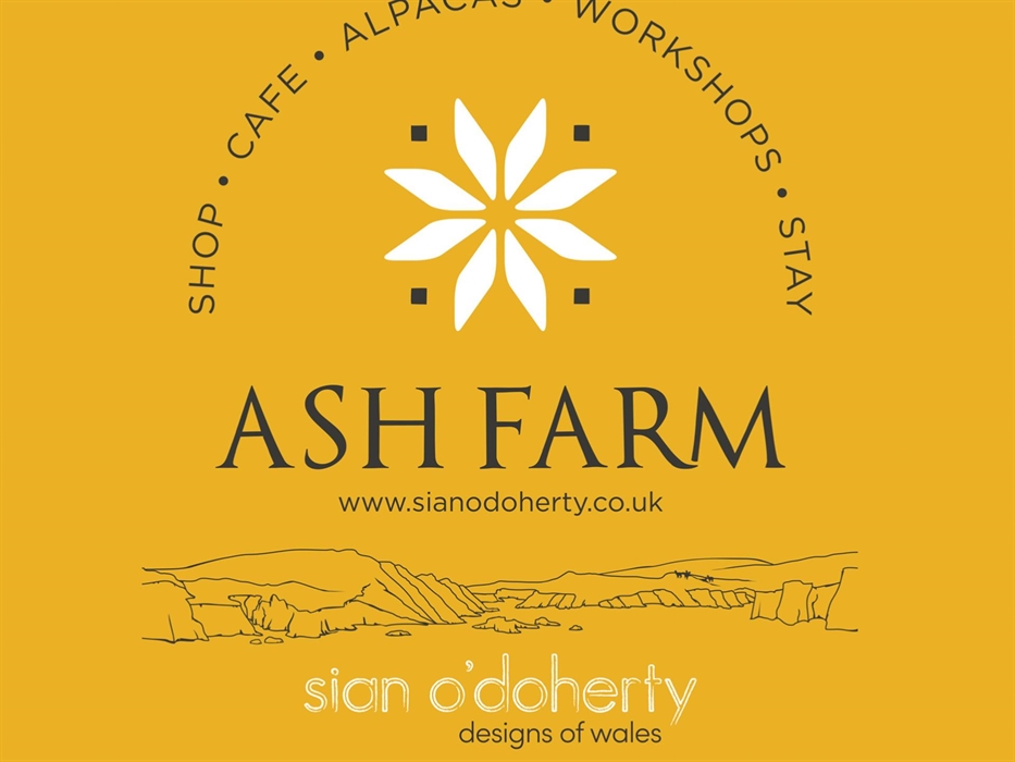 ash farm Gallery Poster - full details