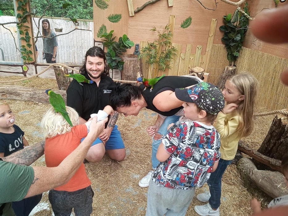 Lorikeet Walkthrough