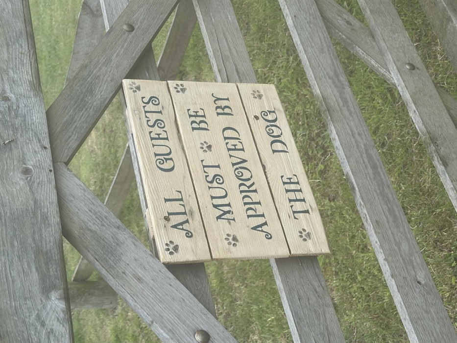 Doggie heaven 🐕‍🦺