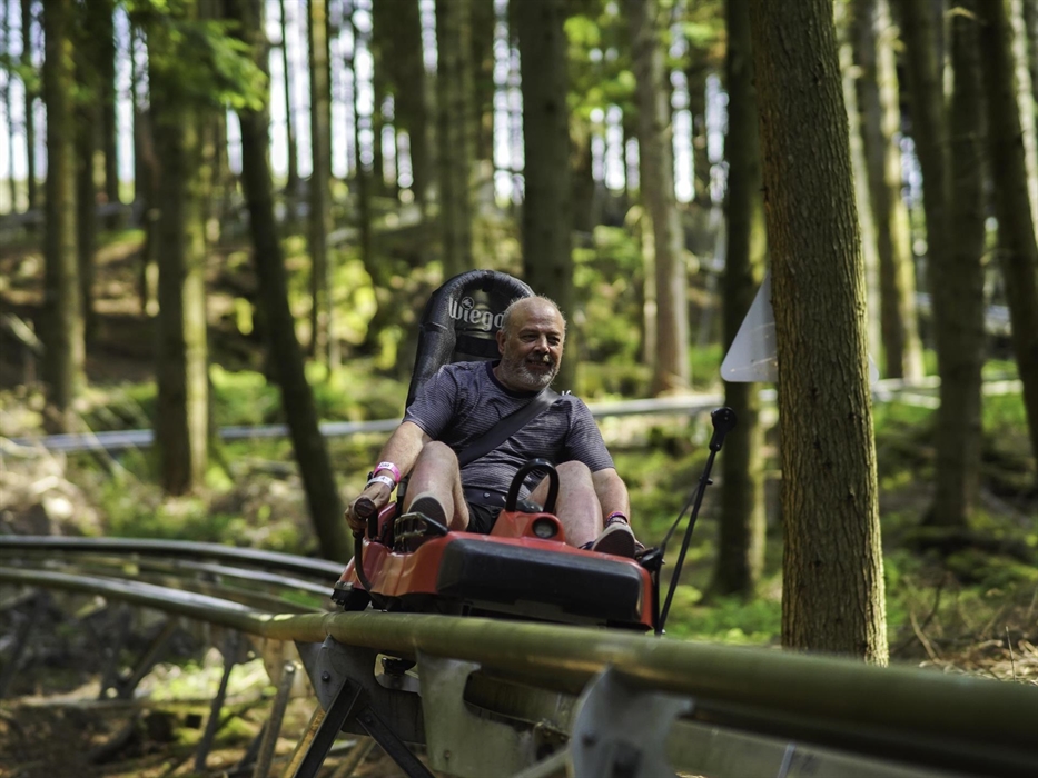 Twist and turn through the trees