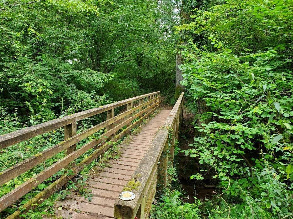 A footbridge made of wood, over a stream, near Monmouth