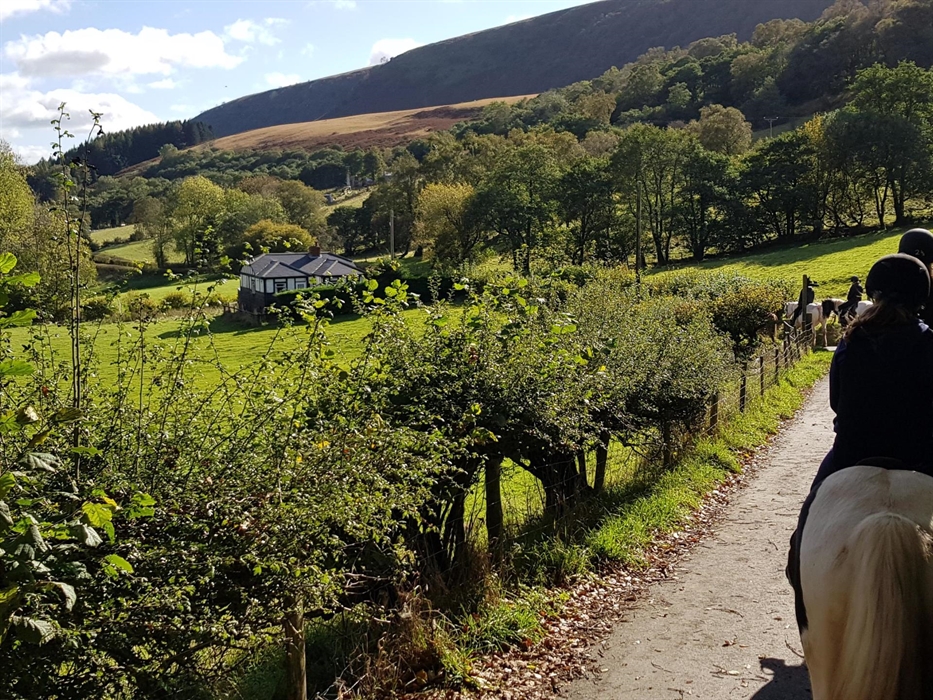 There are opportunities for short rides along the roads for an hour for 4-7 years olds.