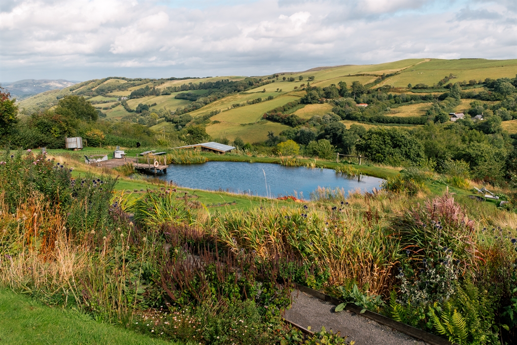 View of pond at the lavender farm
