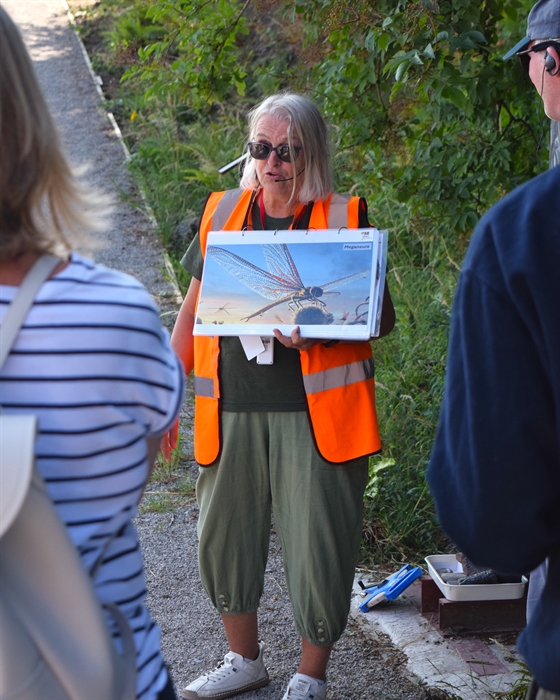 A tour guide wearing a headset and a high vis orange vest, talking to the tour group and showcasing an image of a giant dragonfly.