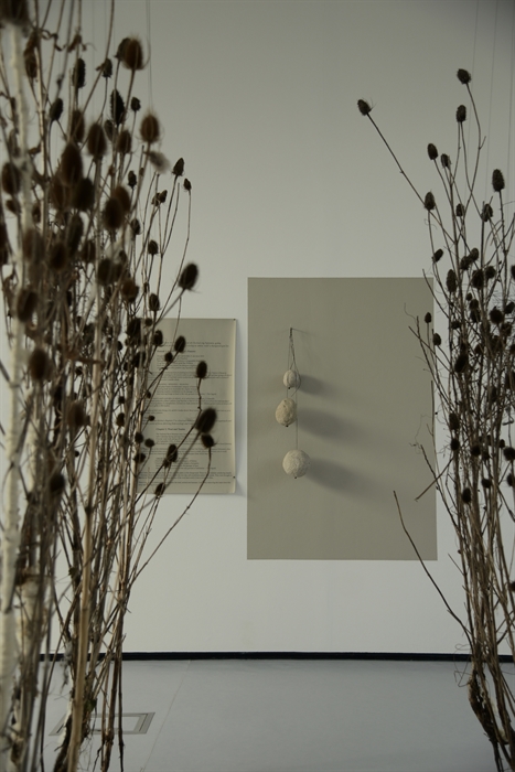 A view through a tunnel of teasels to a square, grey panel with fired spherical ceramics made from Welsh clay.