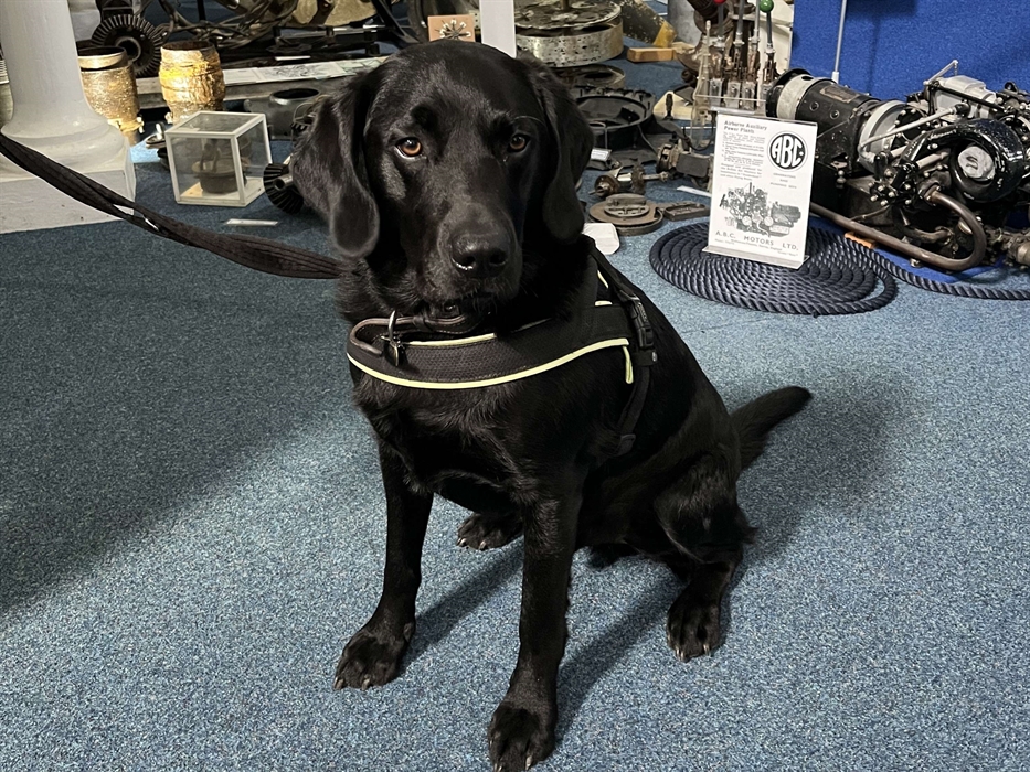 Your well-behaved dog is welcome at the Pembroke Dock Heritage Centre