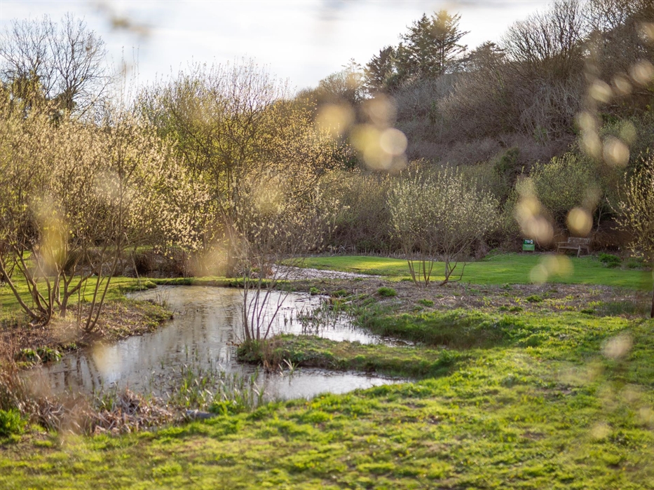 Timber Hill Nature ponds make the perfect spot to relax in nature