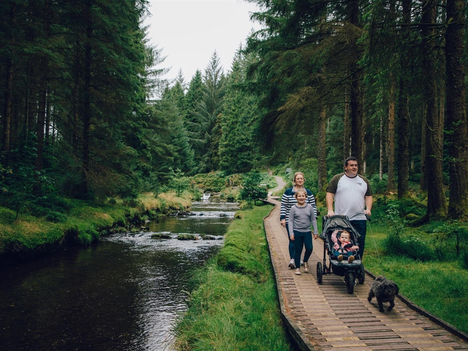 Cascades Trail accessible boardwalk