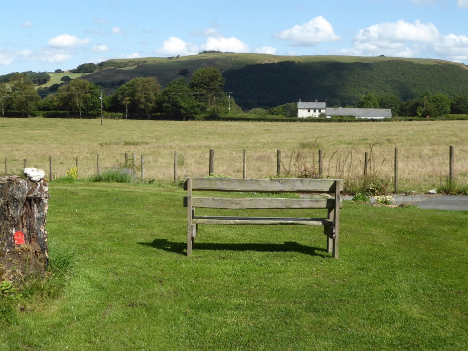 View from the garden