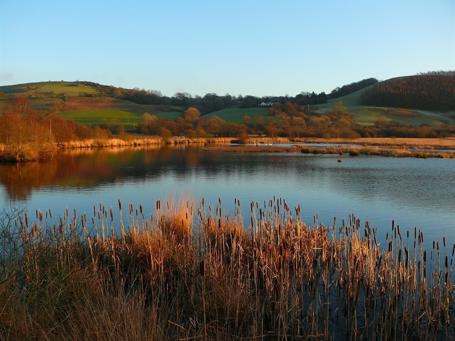Cors Caron's autumn colours