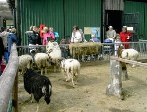 Greenmeadow Community Farm