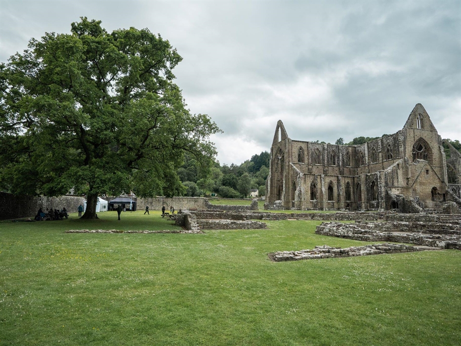 Tintern Abbey