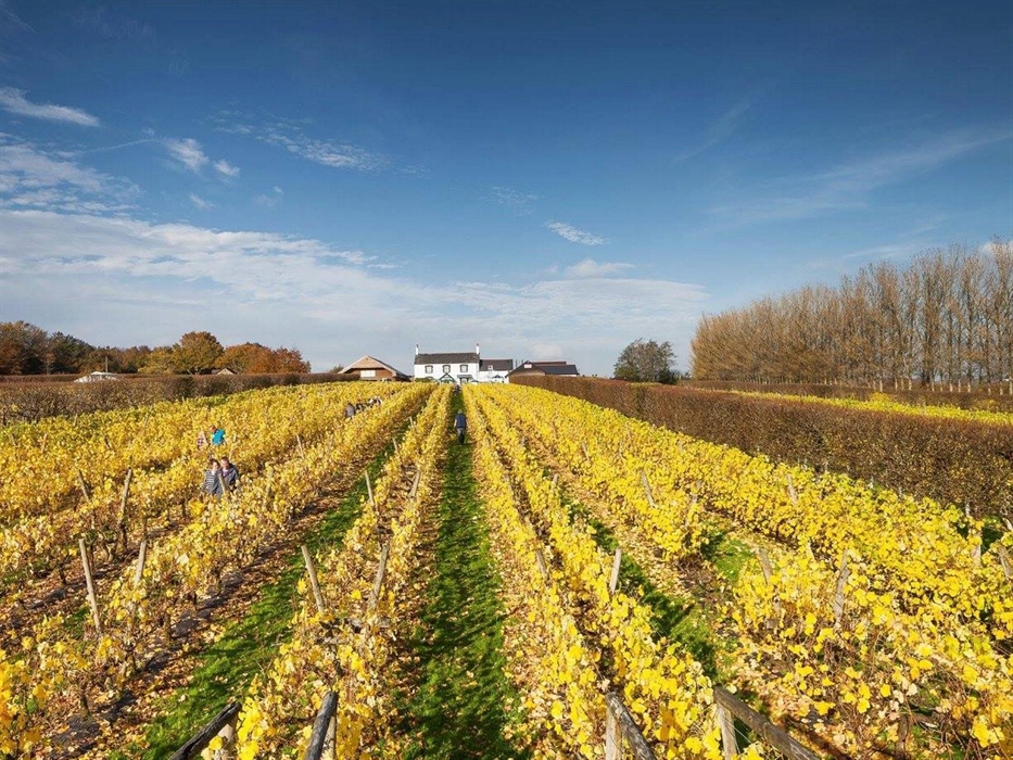 Llanerch Vineyard Hotel