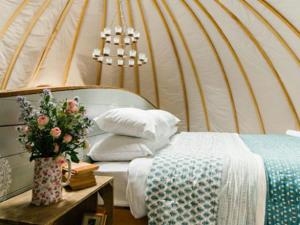 Such comfortable beds