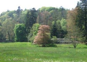 Colby Woodlands Garden