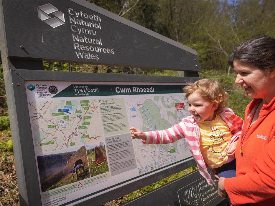 Cwm Rhaeadr Woodland