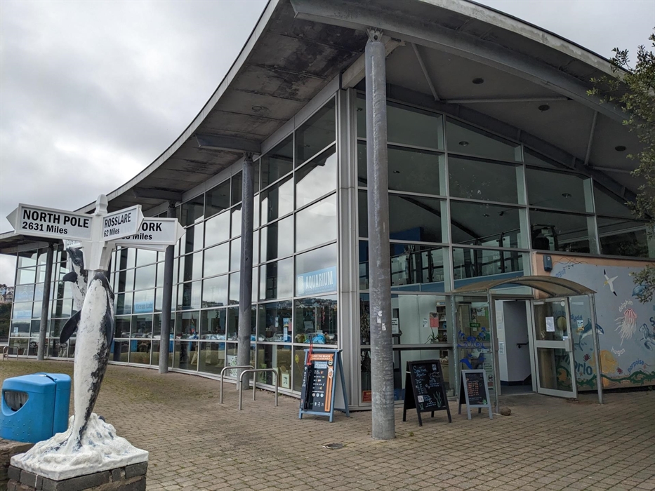 Large glass buildings open for business