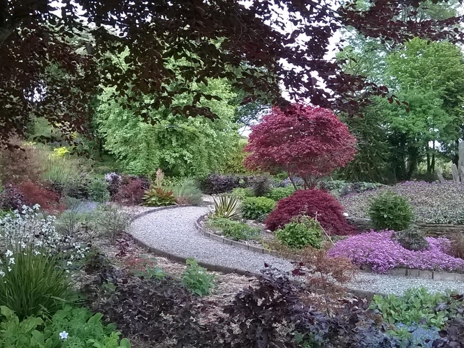 The curve of the round beds that make up the red garden are filled with red leaved shrubs and purple and white flowering perennials.