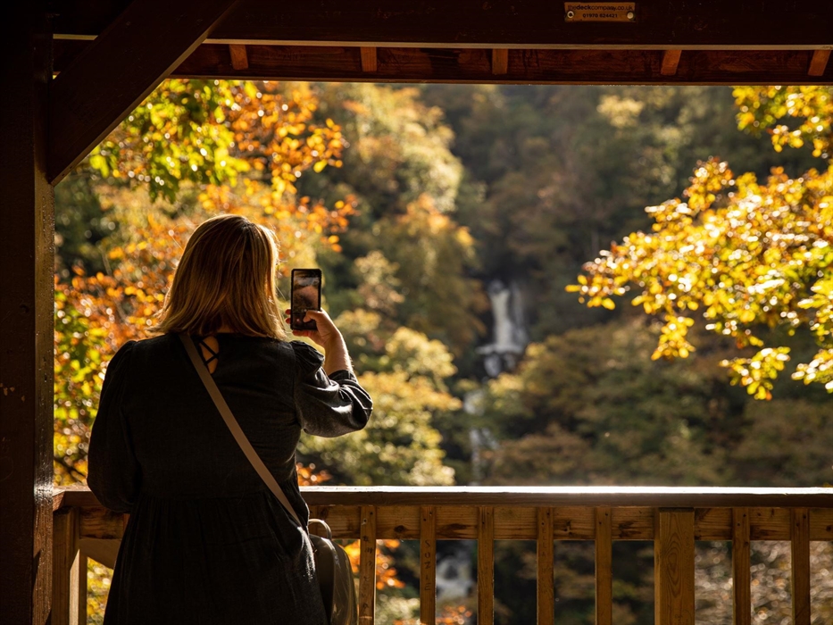 View of the Waterfalls from the Gazebo