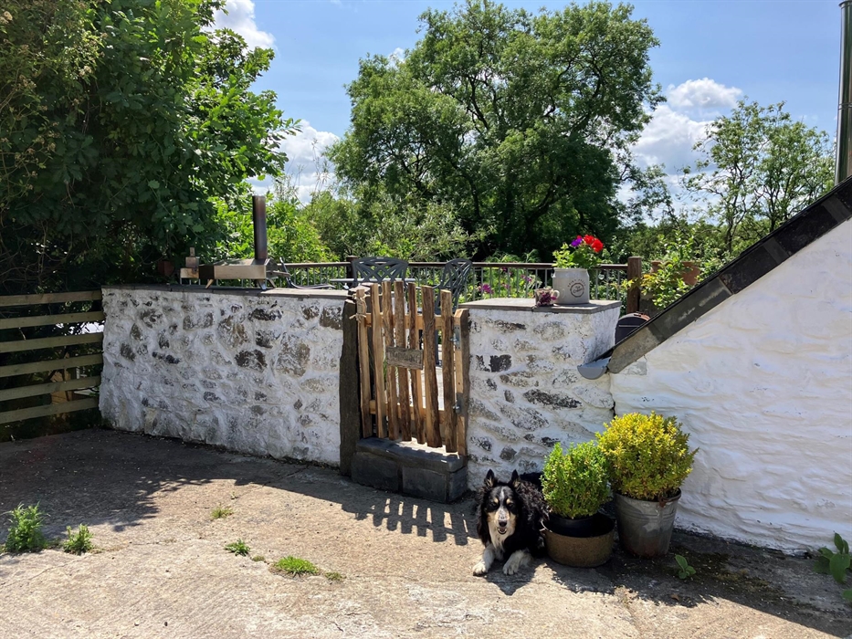 Nantgwynfaen Organic Farm Wales