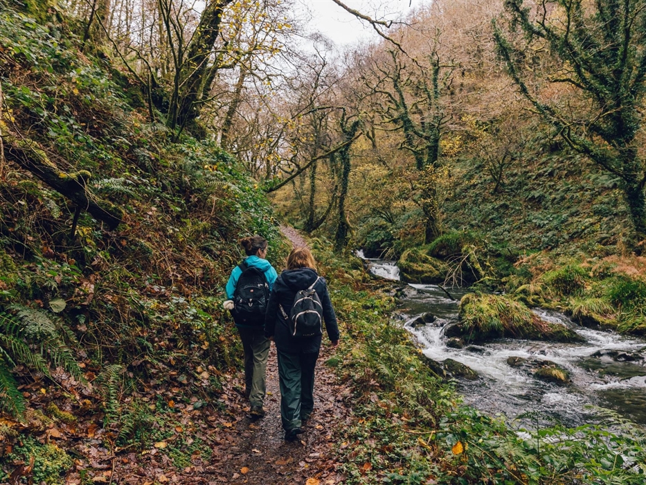 Walking in Coed Nant Gwernol, Dyfi Forest