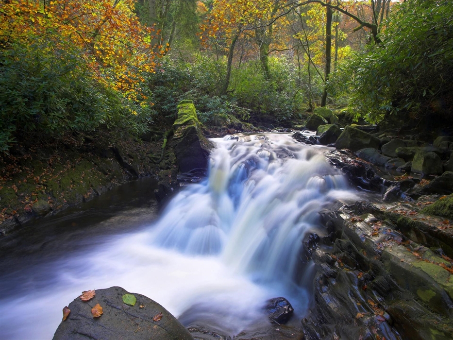 Image Credit: Ben Hall