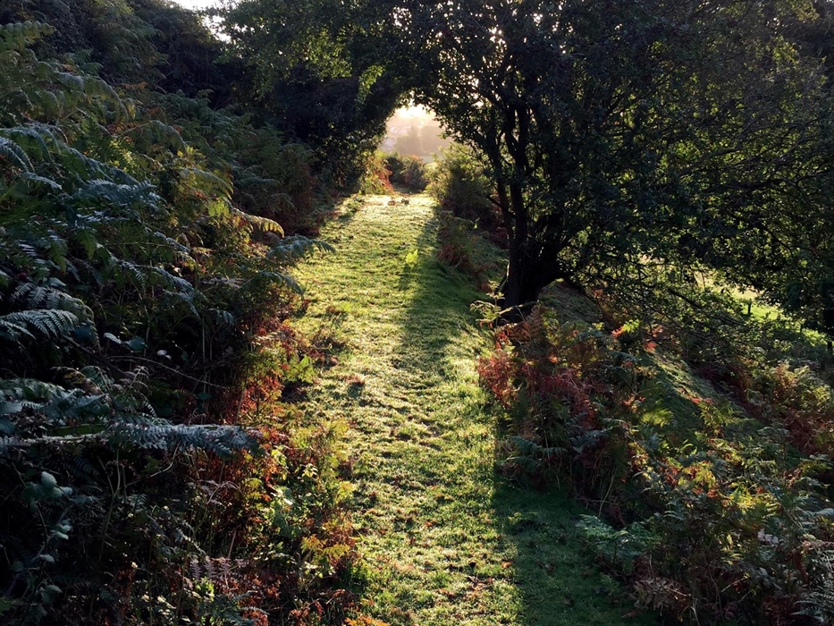 Miles of walking right on the doorstep