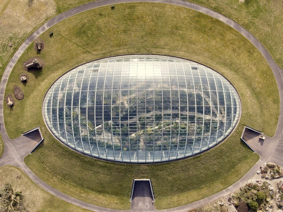 The Great Glasshouse
