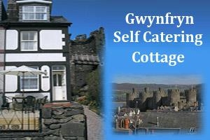 Gwynfryn