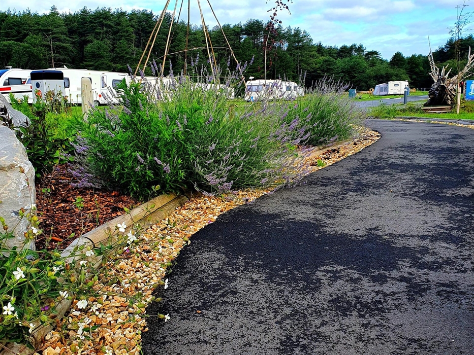 Camping in Pembrey Country Park