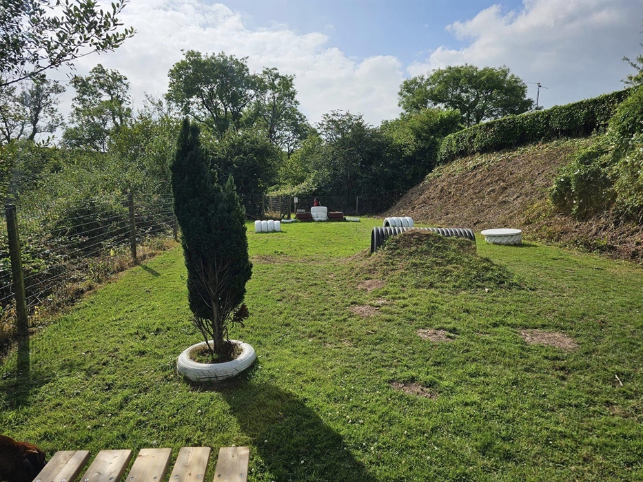 Doggy play Park with tunnels, paws station and stepping paws.