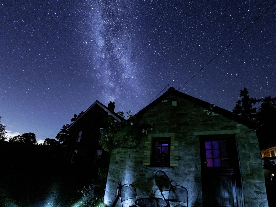 Star gazing from our fields