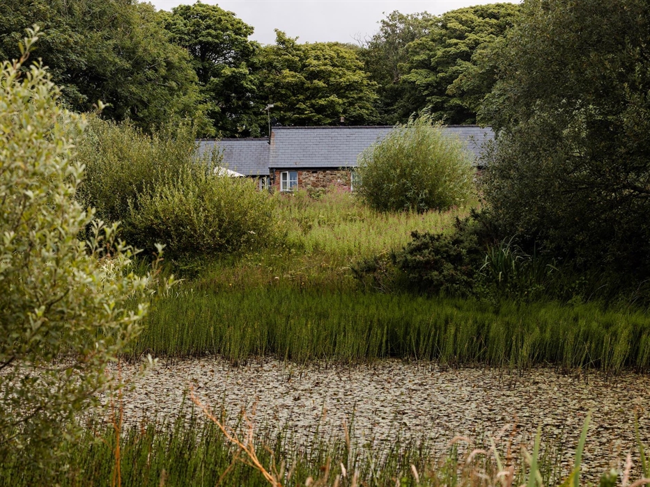 View of Lower Lochturffin from the lake