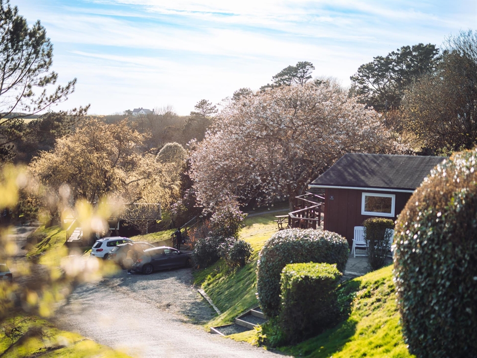 A lodge nestled amidst a lush Pembrokeshire landscape, offering a serene retreat.
