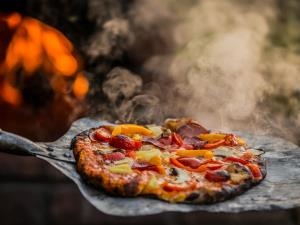 Wood-fired pizza oven