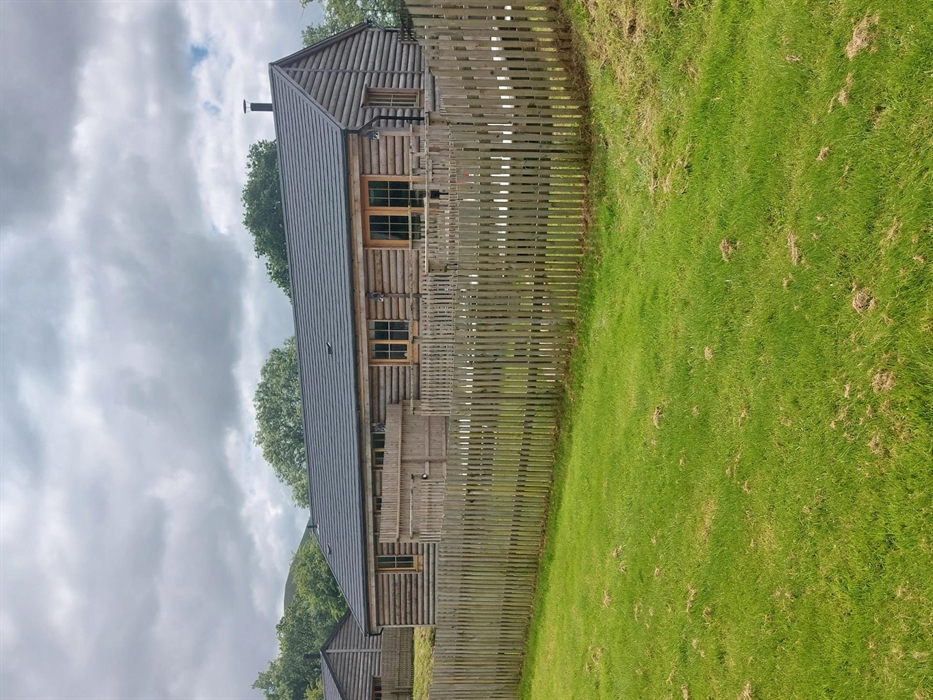 Garden at rear of cabin